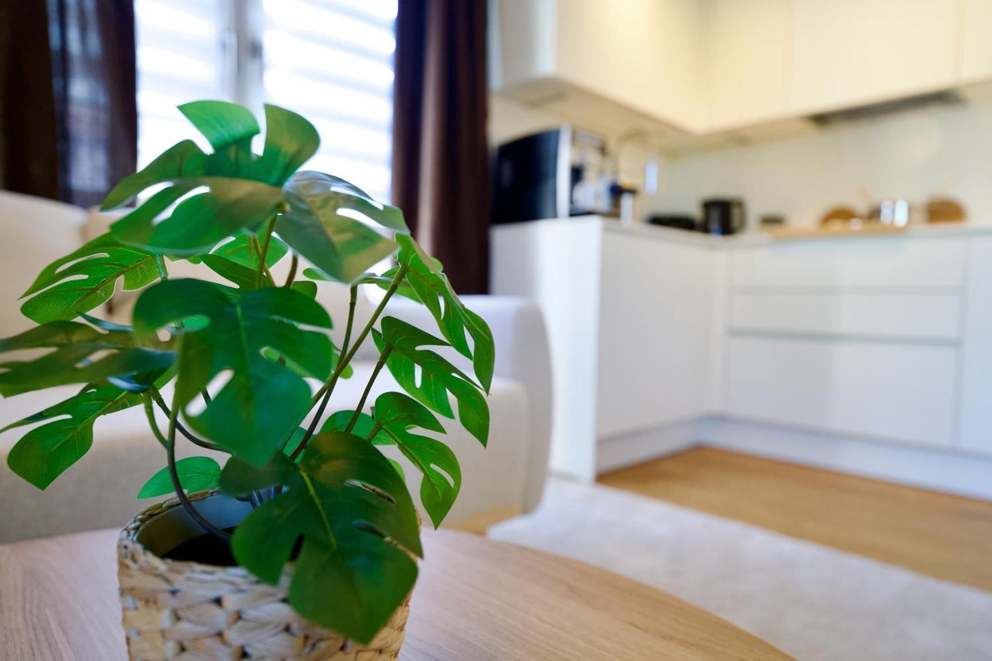 Appartamento Edler Wohnraum Schwanenteich-Oase Mit Balkon, Kaffeevollautomat, Lift & Parkplatz Zwickau Esterno foto